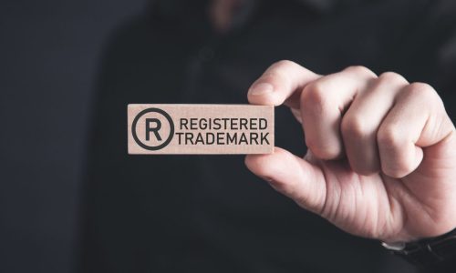 The ins and outs of the use it or lose it principle of trademark law