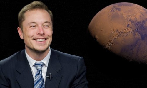 Elon Musk waves bye-bye birdie to the iconic Twitter brand