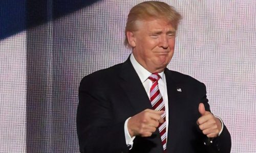 Donald Trump and the ‘moron in a hurry’ trademark rule